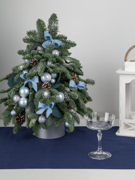 Елочка из нобилиса "Мороз"