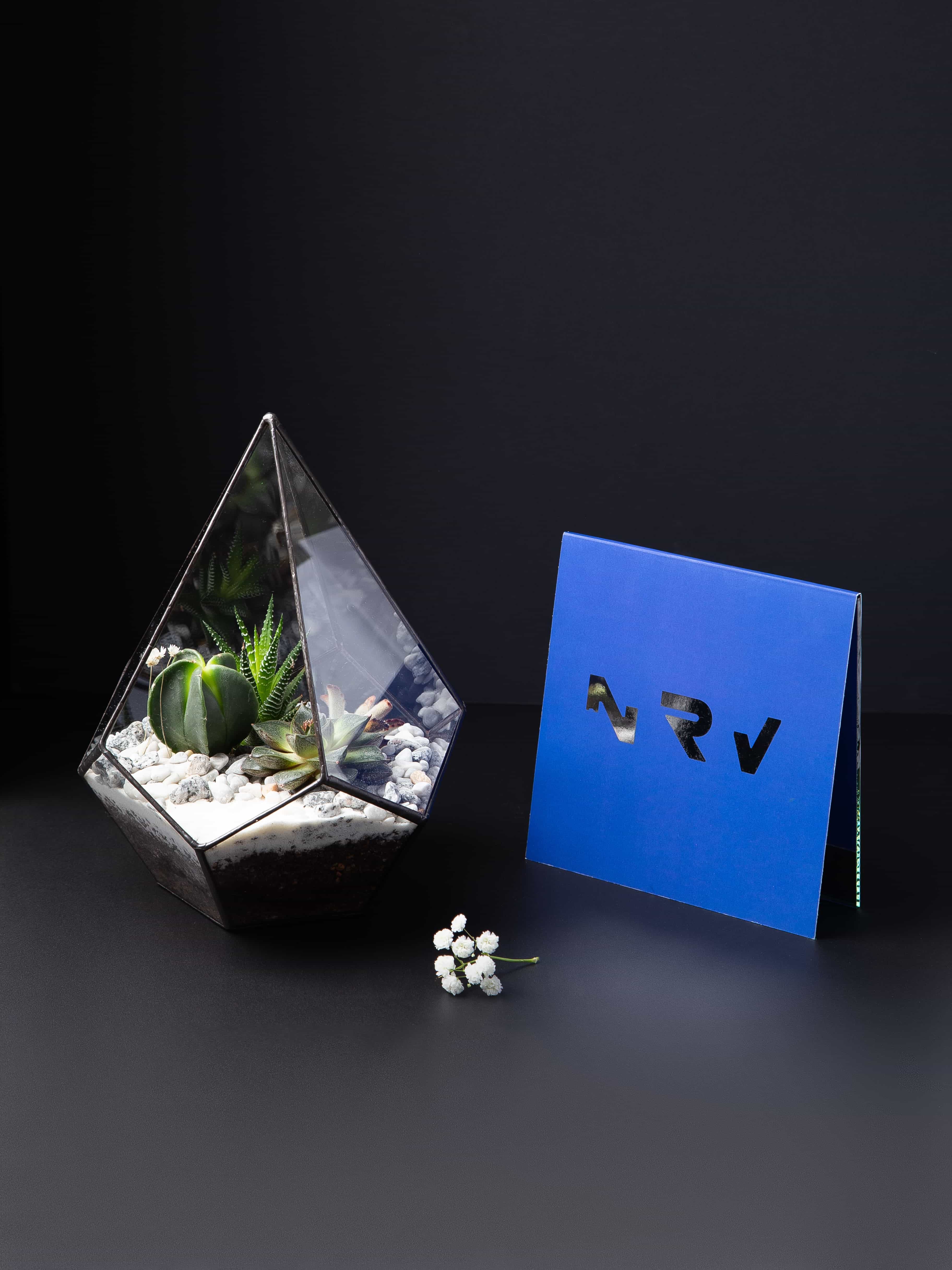 Невероятно-природные подарки для студии танцев «Nirvana  Wellness»   за 2 недели