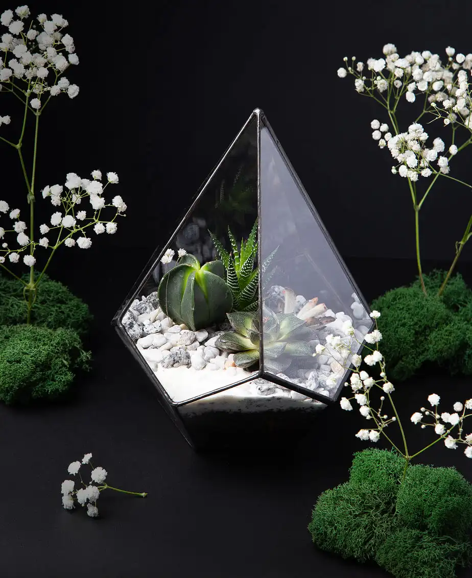 Новогодние боксы для «Сбер Первый» в трёх вариациях