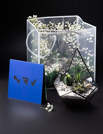 Невероятно-природные подарки для студии танцев «Nirvana  Wellness»  <br> за 2 недели