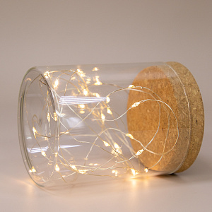 Огоньки на батарейках (банка в состав не входит)