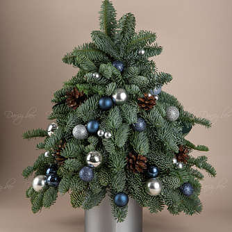 Подарочный набор «Ёлочка из нобилиса "Мороз"»