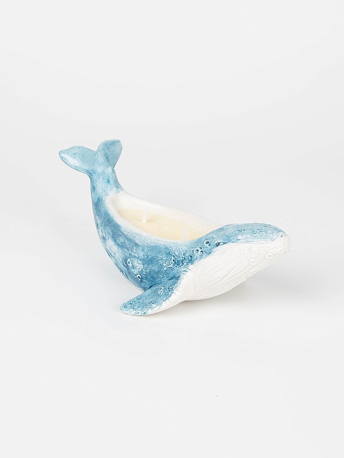 _MG_4463_resized (1)