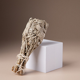 Белый шалфей