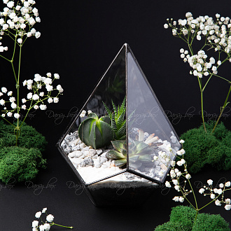 Подарочный набор «Райский сад/Флорариум» Подарочный набор «Райский сад/Флорариум»