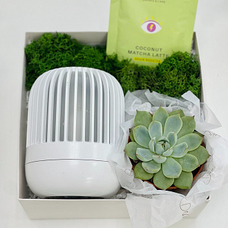 Подарочный набор «Re-Feel»