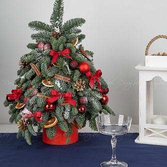 Подарочный набор «Ёлочка из нобилиса "Классика нового года"»