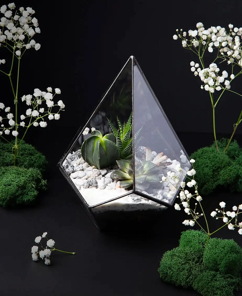 Невероятно-природные подарки для студии танцев «Nirvana  Wellness»  <br> за 2 недели