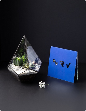 Невероятно-природные подарки для студии танцев «Nirvana  Wellness»  <br> за 2 недели