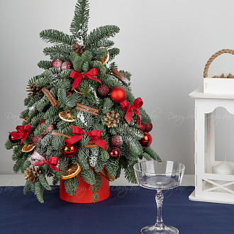 Подарочный набор «Ёлочка из нобилиса "Классика нового года"»